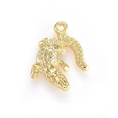 Alloy Pendants X-TIBEP-A040-015G-NR-1