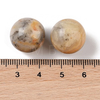 Natural Crazy Agate No Hole Sphere Beads G-K353-04D-34-1