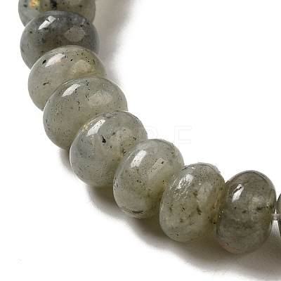 Natural Labradorite Beads Strands G-G102-C06-01-1