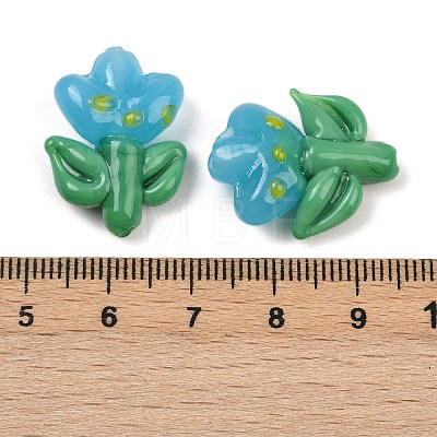 Handmade Lampwork Beads LAMP-S070-04F-1