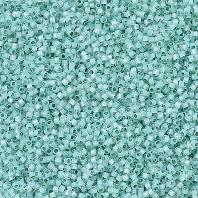 MIYUKI Delica Beads X-SEED-J020-DB0626-1