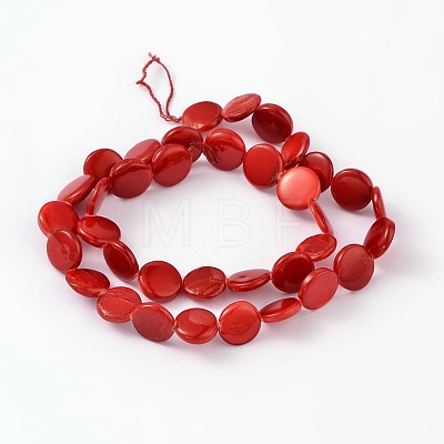 Natural Shell Beads Strands PBB-XXBK023Y-1-1