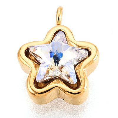 304 Stainless Steel Charms STAS-N112-02A-G-1
