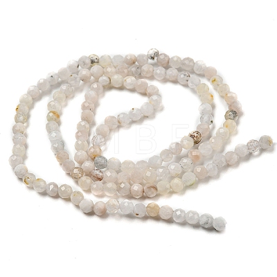Natural Rainbow Moonstone Beads Strands X-G-A097-A02-03-1