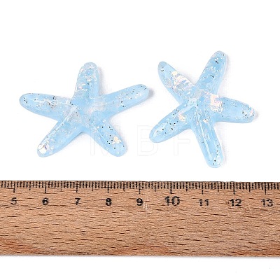 Transparent Resin Cabochons CRES-ZX003-01A-1