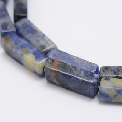 Natural Sodalite Stone Beads Strands G-E342-01-1