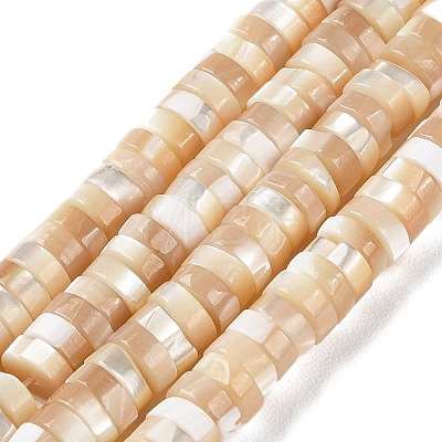 Natural Trochus Shell Beads Strands BSHE-E030-09A-02-1