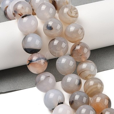 Natural Dendritic Agate Beads Strands G-A248-A07-07-1