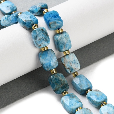 Natural Apatite Beads Strands G-H061-A04-01-1