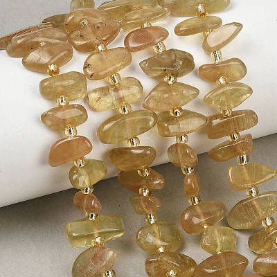 Natural Yellow Apatite Beads Strands G-L657-E06-01-1