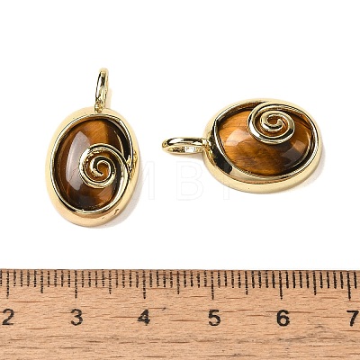 Natural Tiger Eye Oval Pendants G-K371-01G-02-1