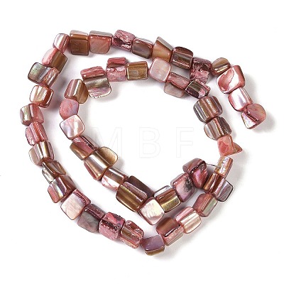 Dyed Natural Freshwater Shell Beads Strands SHEL-P016-01G-1