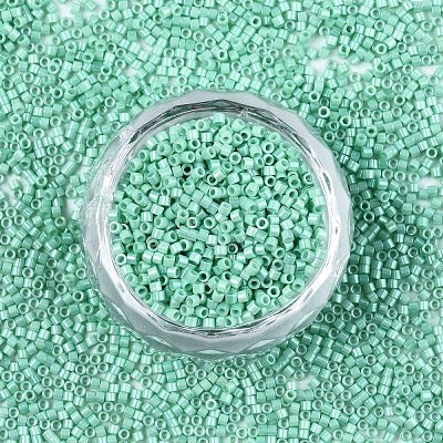 11/0 Grade A Baking Paint Glass Seed Beads SEED-S030-1036-1