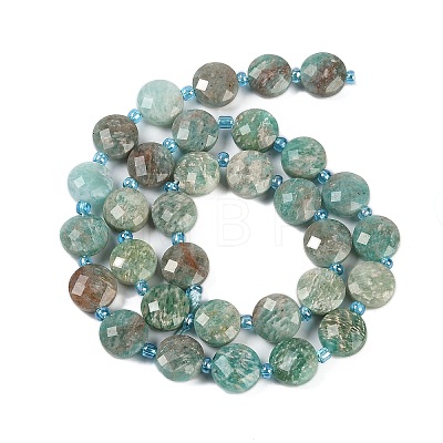 Natural Amazonite Beads Strands G-B094-A18-01-1