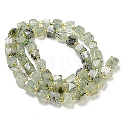 Natural Prehnite Beads Strands G-G053-B12-01A-1