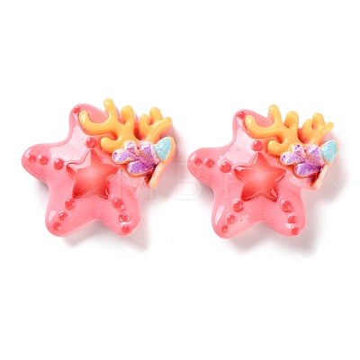 Marine Series Resin Cabochons CRES-Z012-01E-1