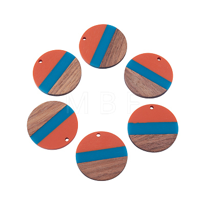 Two Tone Transparent Resin & Wood Pendants RESI-CJ0005-02-1