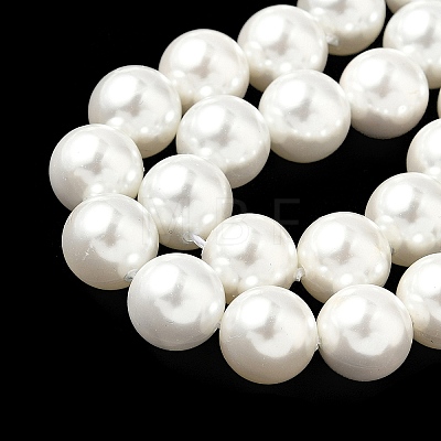 Shell Pearl Beads Strands BSHE-K015-10mm-04-1