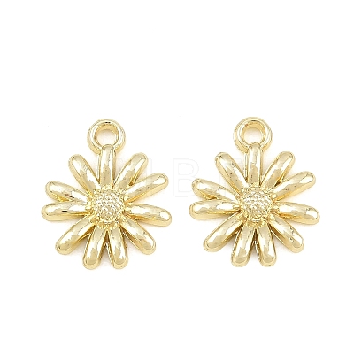 Alloy Charms AL-CBA1FD3-24G-02-1