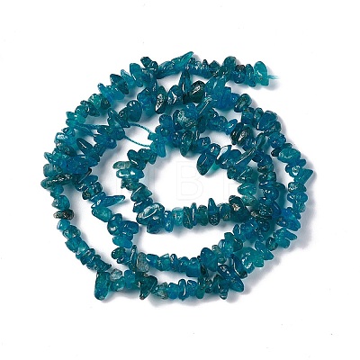 Natural Apatite Beads Strands G-G960-01-1