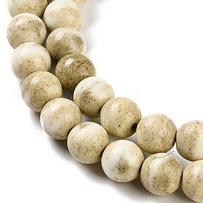 Natural Rainbow Alashan Agate Beads Strands G-NH0022-A04-01-1