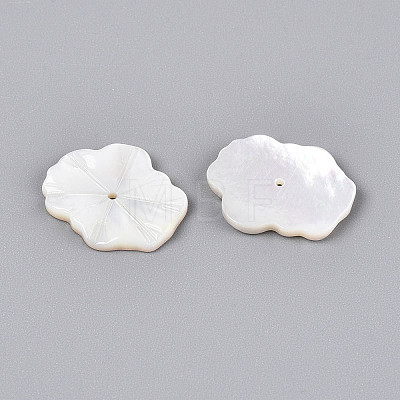Natural White Shell Carved Leaf Beads BSHE-T014-31A-1