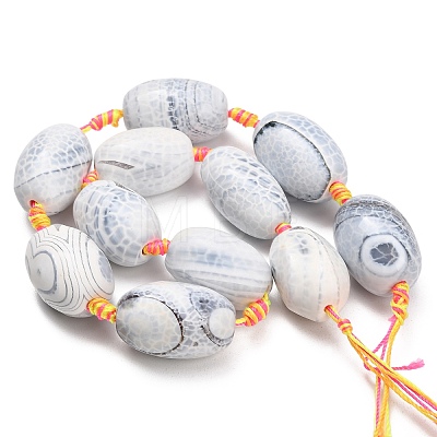 Natural Fire Crackle Agate Beads Strands G-A321-J06-01-1