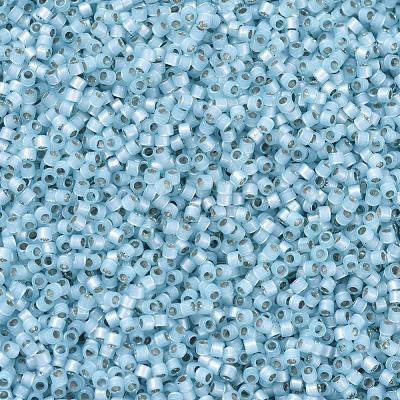 MIYUKI Delica Beads X-SEED-J020-DB0628-1