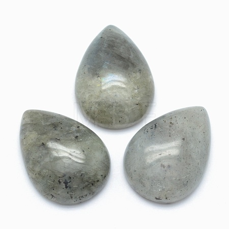 Natural Labradorite Cabochons X-G-E491-B-14-1