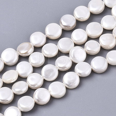 Natural Freshwater Shell Beads Strands X-SHEL-N026-50B-01-1