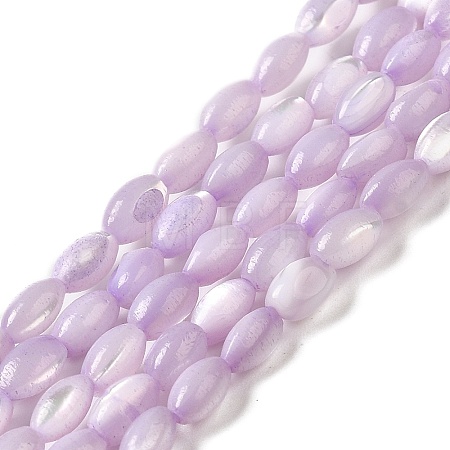 Natural Trochus Shell Beads Strands SHEL-K006-19B-1