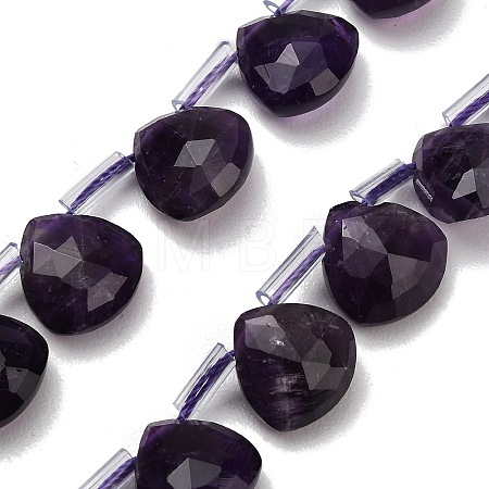 Natural Amethyst Beads Strands G-C292-A05-01-1