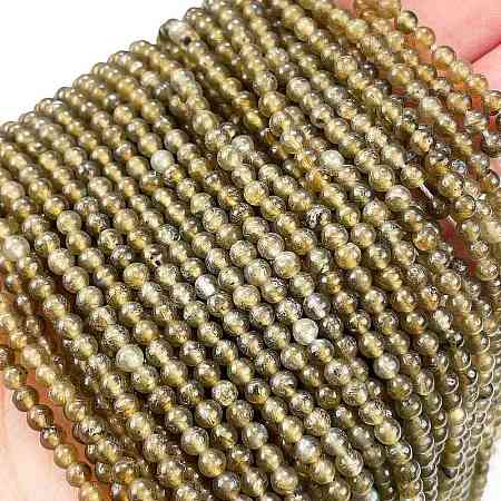Natural Labradorite Beads Strands G-M438-A01-01-1