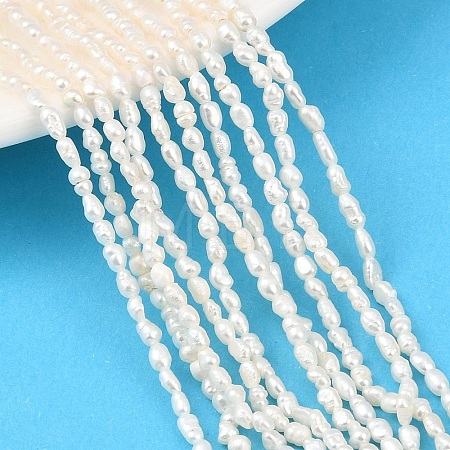 Natural Cultured Freshwater Pearl Beads Strands PEAR-F020-14-1