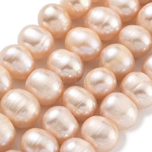 Natural Cultured Freshwater Pearl Beads Strands PEAR-C003-19B-1