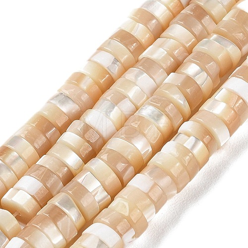 Natural Trochus Shell Beads Strands BSHE-E030-09A-02-1