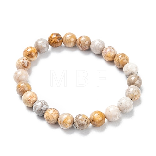 Natural Fossil Coral Stretch Beaded Bracelets G-A185-01X-1