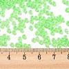 Electroplate Transparent Glass Seed Beads SEED-S042-16A-07-4