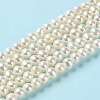 Natural Cultured Freshwater Pearl Beads Strands PEAR-E018-44-2