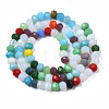Glass Beads Strands GLAA-S019-01E-2