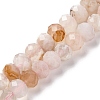 Natural Cherry Blossom Agate Beads Strands G-K380-A43-03-1