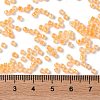 Glass Seed Beads SEED-S042-13A-05-4