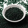 MIYUKI Round Rocailles Beads SEED-JP0009-RR0156F-2
