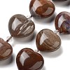 Natural Petrified Wood Beads Strands G-C150-A08-01-2