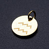 201 Stainless Steel Charms STAS-T049-T644-11G-2