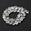 Natural Quartz Crystal Beads Strands G-C161-A01-01-3
