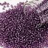 TOHO Round Seed Beads SEED-XTR11-2219-1