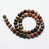 Natural Polychrome Jasper/Picasso Stone/Picasso Jasper Bead Strands G-O155-02B-6mm-2