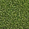 12/0 Glass Seed Beads X2-SEED-A005-2mm-24-2