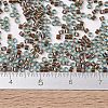 MIYUKI Delica Beads SEED-JP0008-DB1775-4